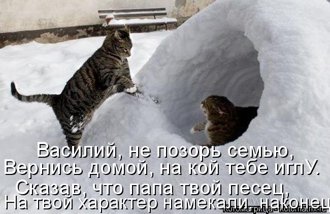 Котоматрица: Василий, не позорь семью, Вернись домой, на кой тебе иглУ. Сказав, что папа твой песец, На твой характер намекали, наконец