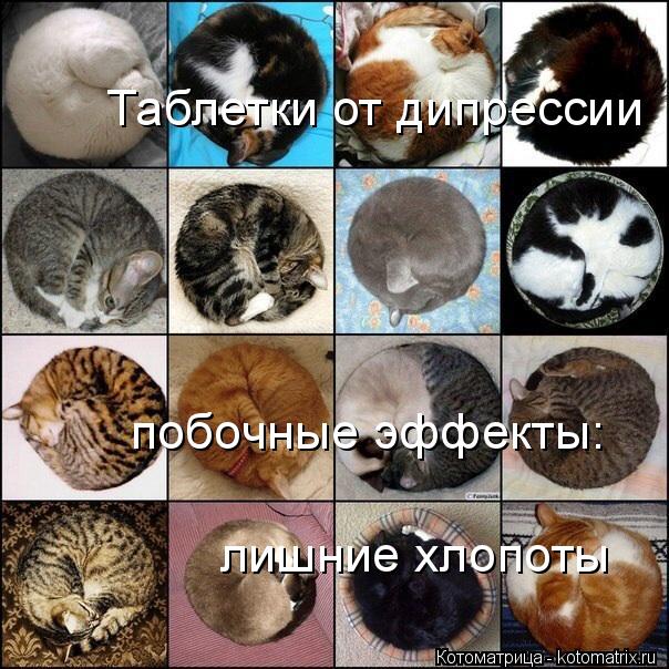 Котоматрица: Таблетки от дипрессии побочные эффекты: побочные эффекты: лишние хлопоты лишние хлопоты