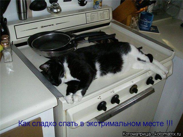 Котоматрица: Как сладко спать в экстримальном месте !!!