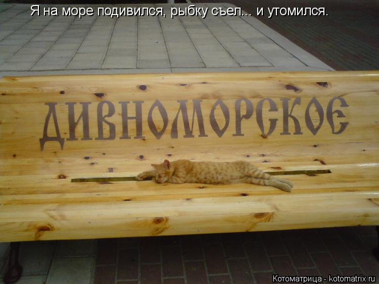 Я на море подивился, рыбку съел... и утомился.... Котоматрица: Я на море подивился, рыбку съел... и утомился.