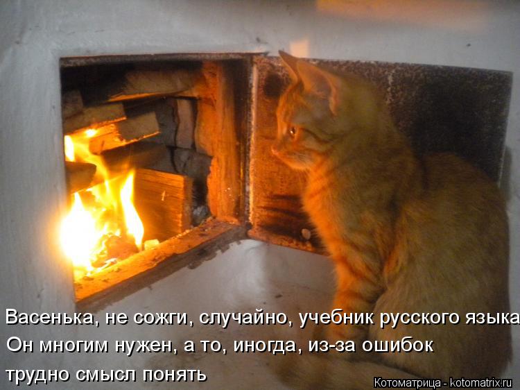 Котоматрица: Васенька, не сожги, случайно, учебник русского языка, Он многим нужен, а то, иногда, из-за ошибок  трудно смысл понять