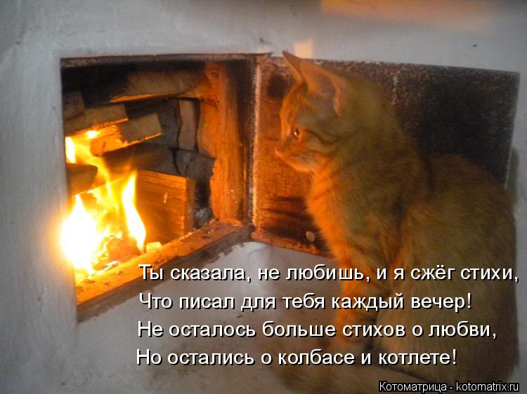Котоматрица: Не осталось больше стихов о любви, Но остались о колбасе и котлете! Что писал для тебя каждый вечер! Ты сказала, не любишь, и я сжёг стихи,