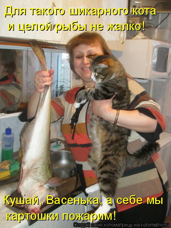 Котоматрица: Для такого шикарного кота и целой рыбы не жалко! Кушай, Васенька, а себе мы картошки пожарим!