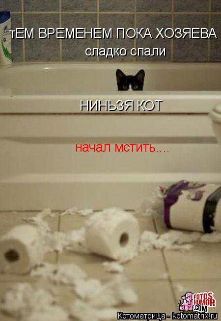 Котоматрица: тЕМ ВРЕМЕНЕМ ПОКА ХОЗЯЕВА сладко спали НИНЬЗЯ КОТ начал мстить....