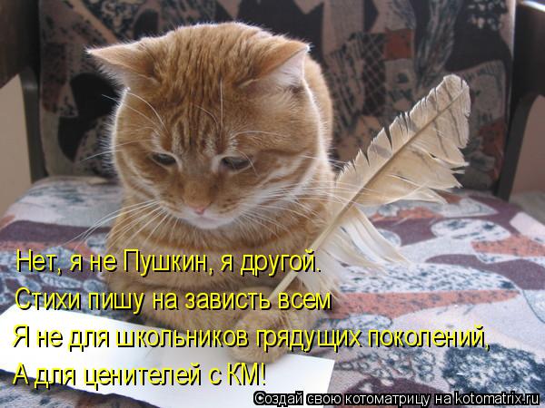 Котоматрица: Нет, я не Пушкин, я другой. Стихи пишу на зависть всем Я не для школьников грядущих поколений, А для ценителей с КМ!