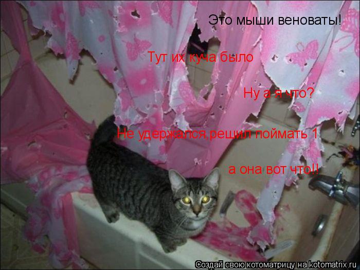 Котоматрица: Это мыши веноваты! Тут их куча было Ну а я что? Не удержался,решил поймать 1  а она вот что!!