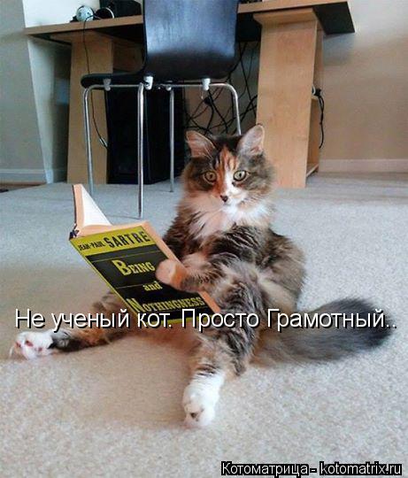 Котоматрица: Не ученый кот. Просто Грамотный..