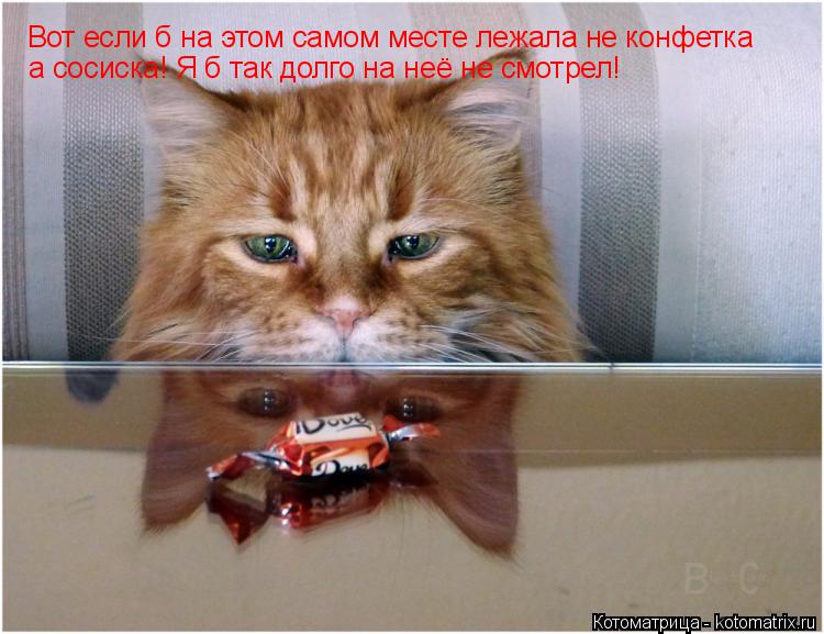 Котоматрица: Вот если б на этом самом месте лежала не конфетка  а сосиска! Я б так долго на неё не смотрел!