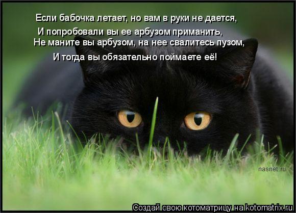 Если бабочка летает, но вам в руки не дается, И попробовали вы ее арбузом приманить, Не маните вы арб... Котоматрица: Если бабочка летает, но вам в руки не дается, И попробовали вы ее арбузом приманить, Не маните вы арбузом, на нее свалитесь пузом, И тогда вы о