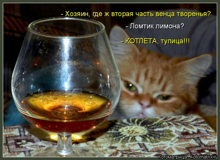 Котоматрица: - Хозяин, где ж вторая часть венца творенья? - Ломтик лимона? - КОТЛЕТА, тупица!!!