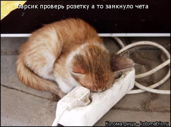 барсик проверь розетку а то замкнуло чета... Котоматрица: барсик проверь розетку а то замкнуло чета