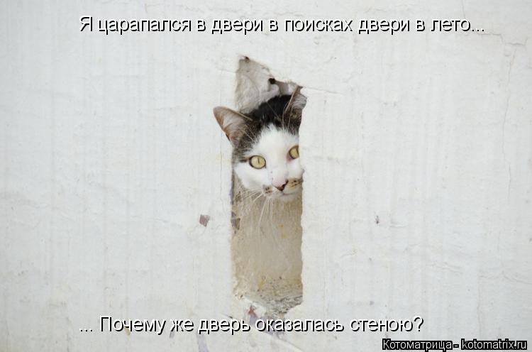 Котоматрица: Я царапался в двери в поисках двери в лето... Я царапался в двери в поисках двери в лето... ... Почему же дверь оказалась стеною? ... Почему же две
