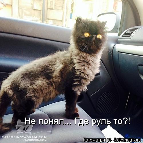 Не понял... Где руль то?!... Котоматрица: Не понял... Где руль то?!