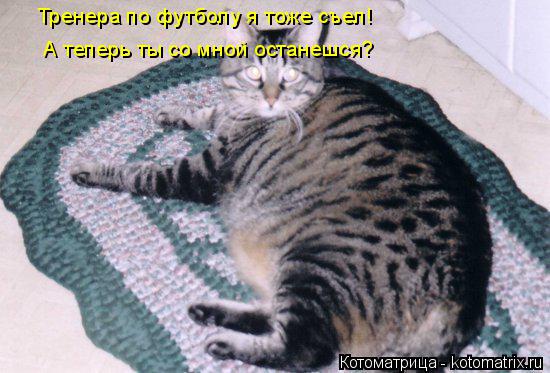 Тренера по футболу я тоже съел! А теперь ты со мной останешся?... Котоматрица: Тренера по футболу я тоже съел! А теперь ты со мной останешся?
