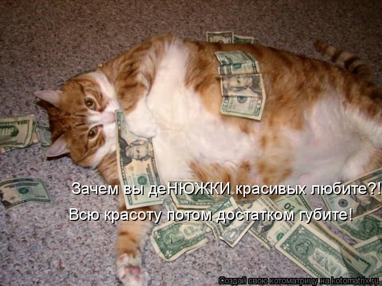 Зачем вы деНЮЖКИ красивых любите?! Всю красоту потом достатком губите!... Котоматрица: Зачем вы деНЮЖКИ красивых любите?! Всю красоту потом достатком губите!