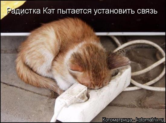 Котоматрица: Радистка Кэт пытается установить связь