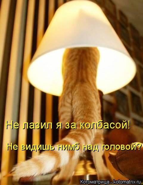 Не лазил я за колбасой! Не видишь нимб над головой?... Котоматрица: Не лазил я за колбасой! Не видишь нимб над головой?