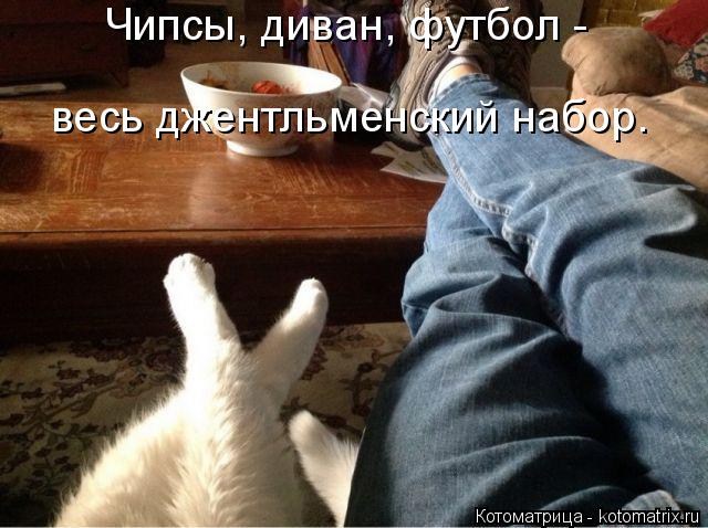 Котоматрица: Чипсы, диван, футбол - весь джентльменский набор.