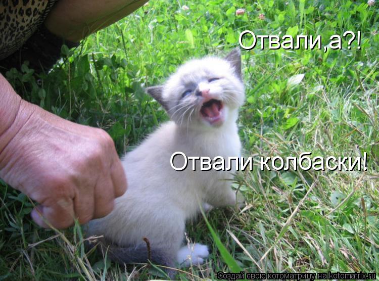 Котоматрица: Отвали,а?! Отвали колбаски!