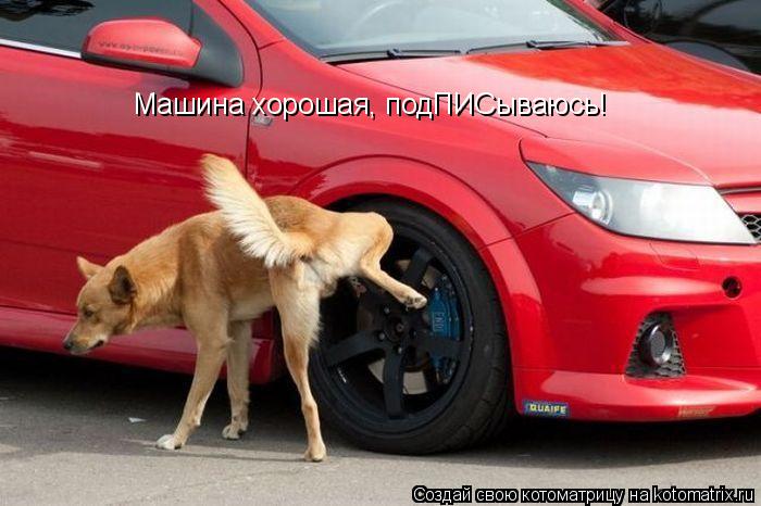 Котоматрица: Машина хорошая, подПИСываюсь!