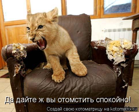 Котоматрица: Да дайте ж вы отомстить спокойно!