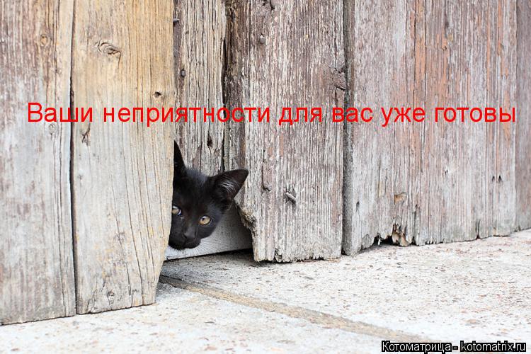 Котоматрица: Ваши неприятности для вас уже готовы