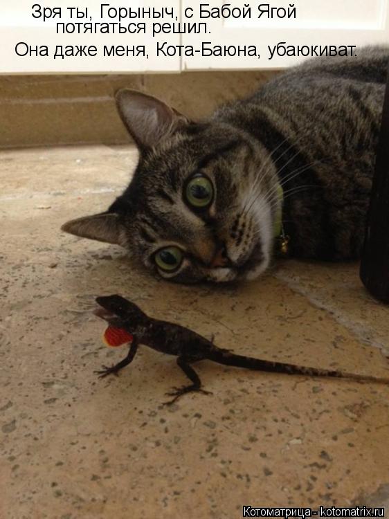 Котоматрица: Зря ты, Горыныч, с Бабой Ягой  Она даже меня, Кота-Баюна, убаюкиват. потягаться решил.