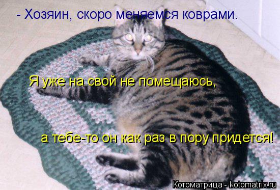 - Хозяин, скоро меняемся коврами. Я уже на свой не помещаюсь, а тебе-то он как раз в пору придется!... Котоматрица: - Хозяин, скоро меняемся коврами. Я уже на свой не помещаюсь, а тебе-то он как раз в пору придется!