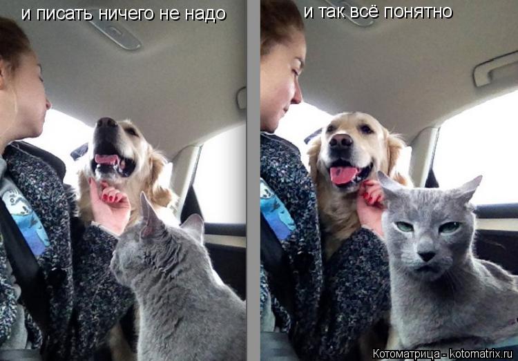 и писать ничего не надо и так всё понятно... Котоматрица: и писать ничего не надо и так всё понятно