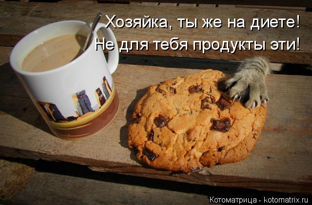 Котоматрица: Хозяйка, ты же на диете! Не для тебя продукты эти!
