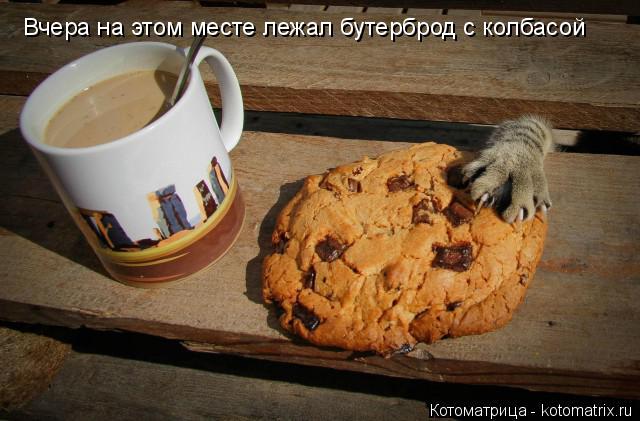 Котоматрица: Вчера на этом месте лежал бутерброд с колбасой
