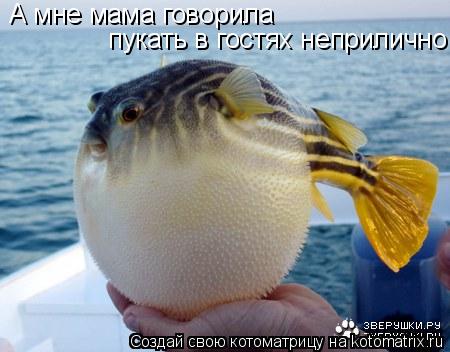 Котоматрица: А мне мама говорила  пукать в гостях неприлично