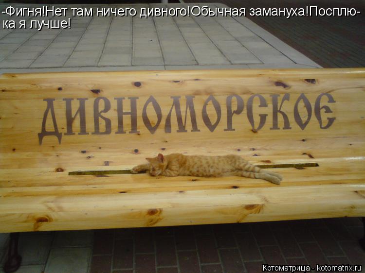 Котоматрица: -Фигня!Нет там ничего дивного!Обычная замануха!Посплю- ка я лучше!