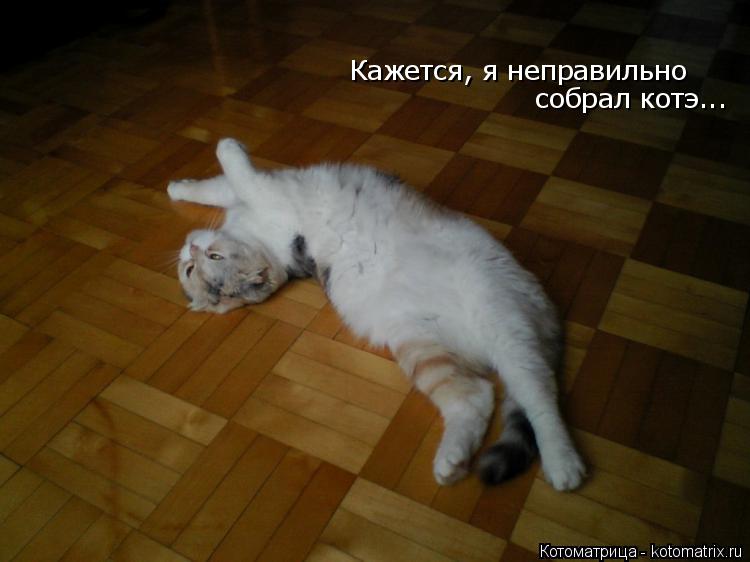 Котоматрица: Кажется, я неправильно собрал котэ...
