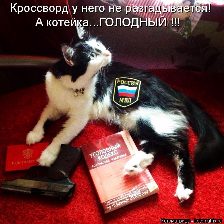 Котоматрица: Кроссворд у него не разгадывается! А котейка...ГОЛОДНЫЙ !!!