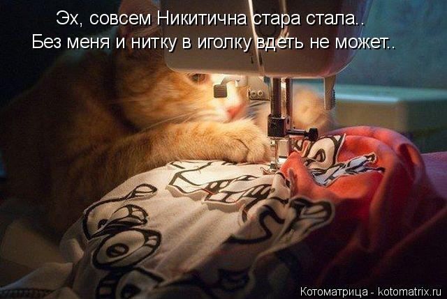 Котоматрица: Эх, совсем Никитична стара стала..  Без меня и нитку в иголку вдеть не может..