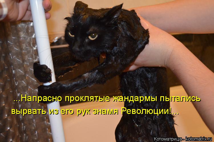 Котоматрица: ...Напрасно проклятые жандармы пытались вырвать из его рук знамя Революции!...