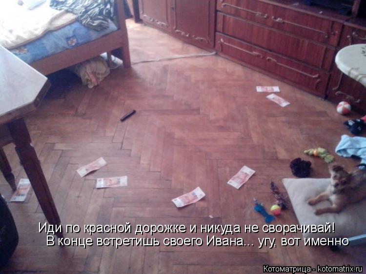 Иди по красной дорожке и никуда не сворачивай! В конце встретишь своего Ивана... угу, вот именно... Котоматрица: Иди по красной дорожке и никуда не сворачивай! В конце встретишь своего Ивана... угу, вот именно