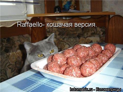 Котоматрица: Raffaello- кошачая версия.