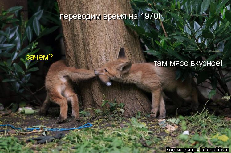 переводим время на 1970! зачем? там мясо вкусное!... Котоматрица: переводим время на 1970! зачем? там мясо вкусное!