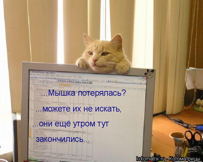 Котоматрица: ...Мышка потерялась? ...можете их не искать, ...они ещё утром тут закончились...