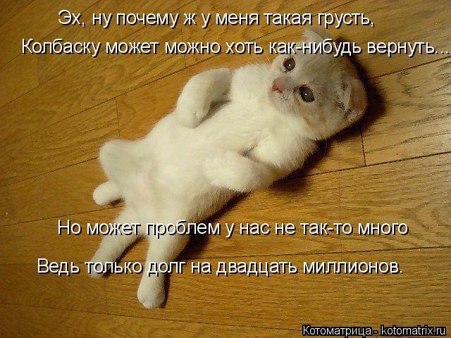 Котоматрица: Эх, ну почему ж у меня такая грусть, Колбаску может можно хоть как-нибудь вернуть... Но может проблем у нас не так-то много Ведь только долг на 