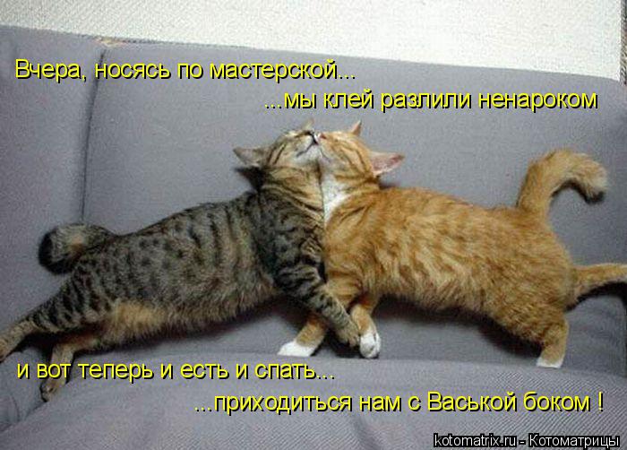 Котоматрица: и вот теперь и есть и спать... Вчера, носясь по мастерской... ...мы клей разлили ненароком ...приходиться нам с Васькой боком !
