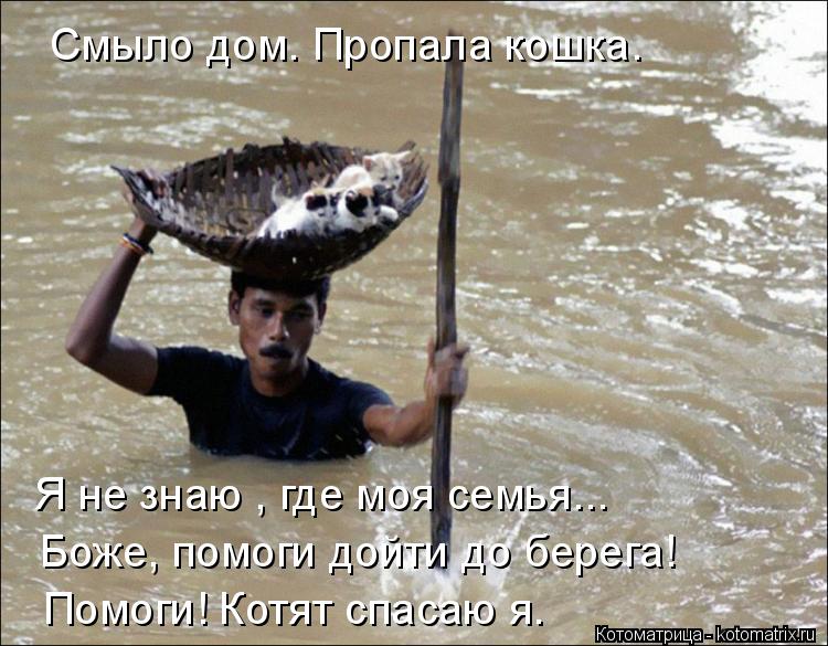 Котоматрица: Смыло дом. Пропала кошка. Я не знаю , где моя семья... Боже, помоги дойти до берега! Помоги! Котят спасаю я.