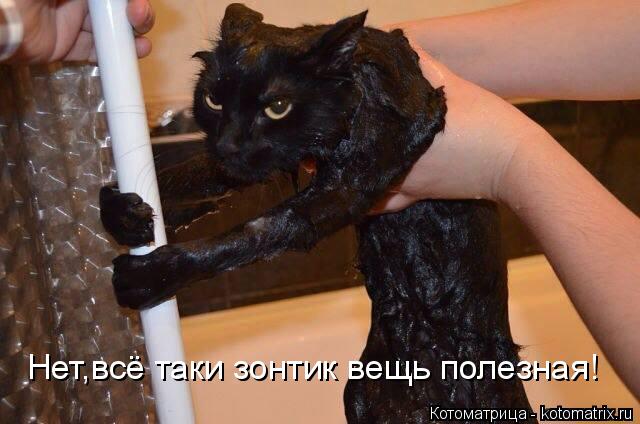 Котоматрица: Нет,всё таки зонтик вещь полезная!