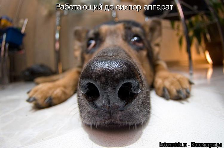 Котоматрица: Работающий до сихпор аппарат