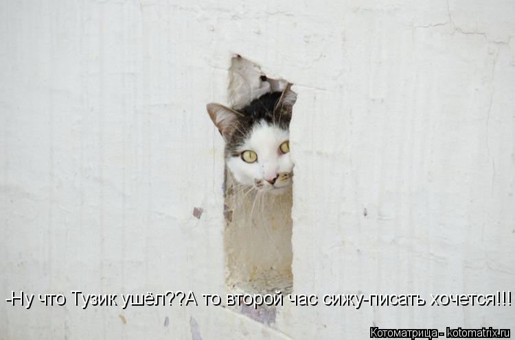 Котоматрица: -Ну что Тузик ушёл??А то второй час сижу-писать хочется!!!