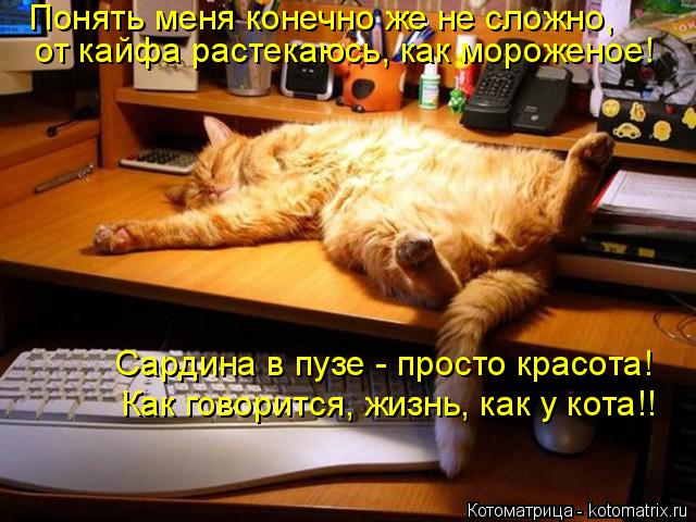 Котоматрица: Понять меня конечно же не сложно, от кайфа растекаюсь, как мороженое! Сардина в пузе - просто красота! Как говорится, жизнь, как у кота!!