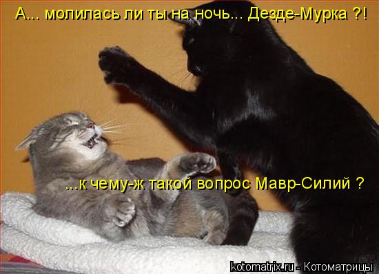 Котоматрица: А... молилась ли ты на ночь... Дезде-Мурка ?! ...к чему-ж такой вопрос Мавр-Силий ?