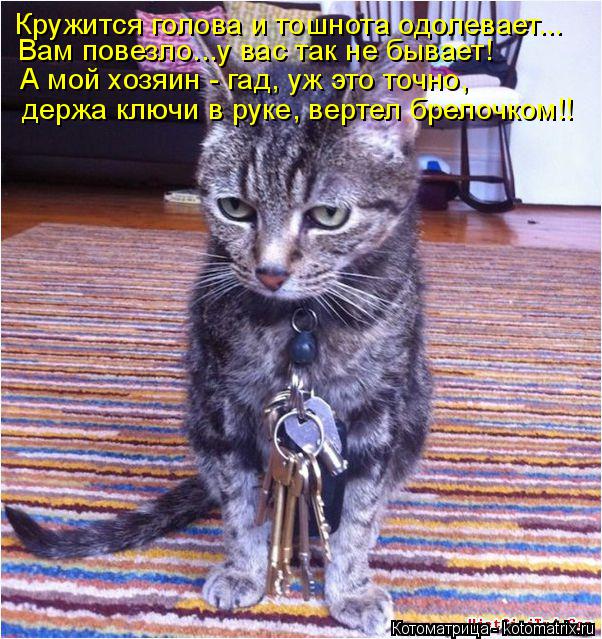 Котоматрица: Кружится голова и тошнота одолевает... Вам повезло...у вас так не бывает! А мой хозяин - гад, уж это точно, держа ключи в руке, вертел брелочком!!